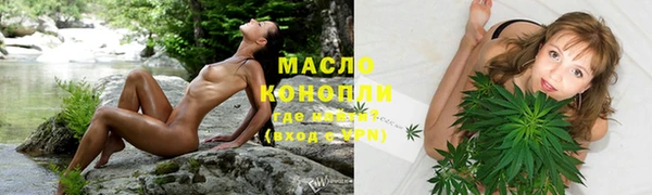 индика Верхний Тагил