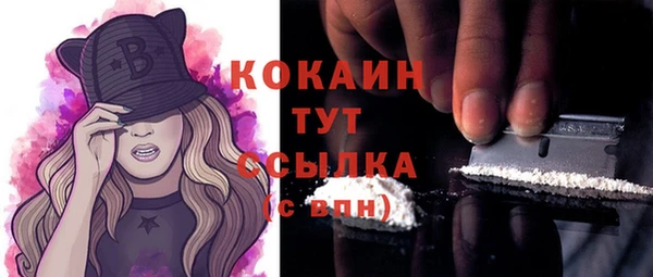 индика Верхний Тагил