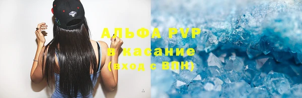 индика Верхний Тагил