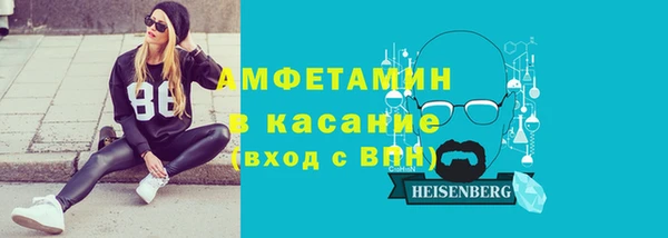 индика Верхний Тагил