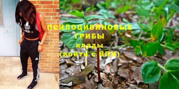 индика Верхний Тагил