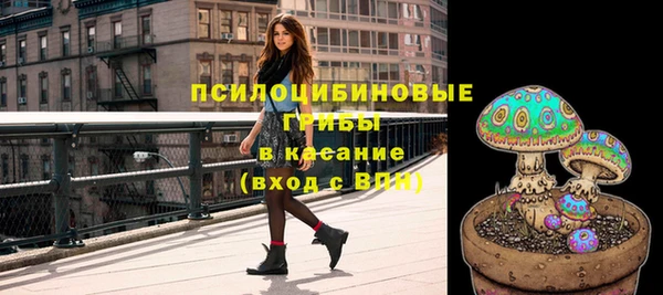 индика Верхний Тагил