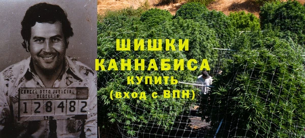 индика Верхний Тагил