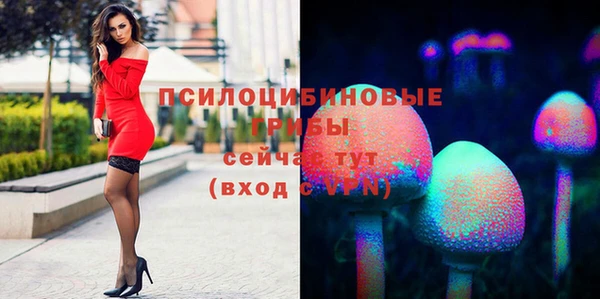 индика Верхний Тагил