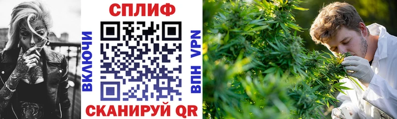 цены наркотик  Тамбов  Канабис конопля 